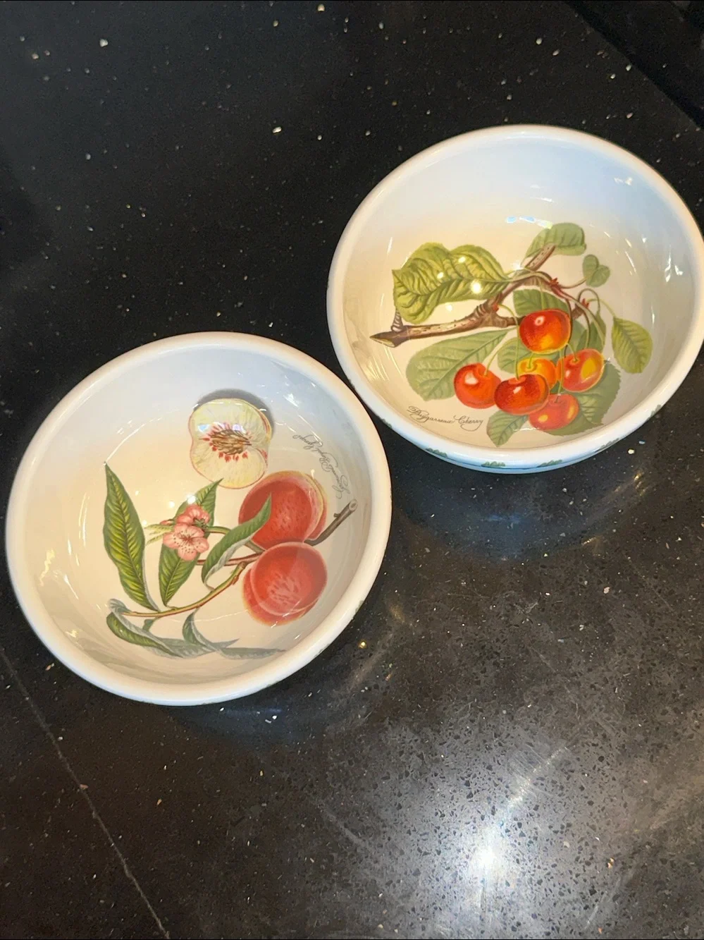 Set of Two Portmeirion Pomona Salad/Dessert/Fruit Bowls with Fruit Illustrations